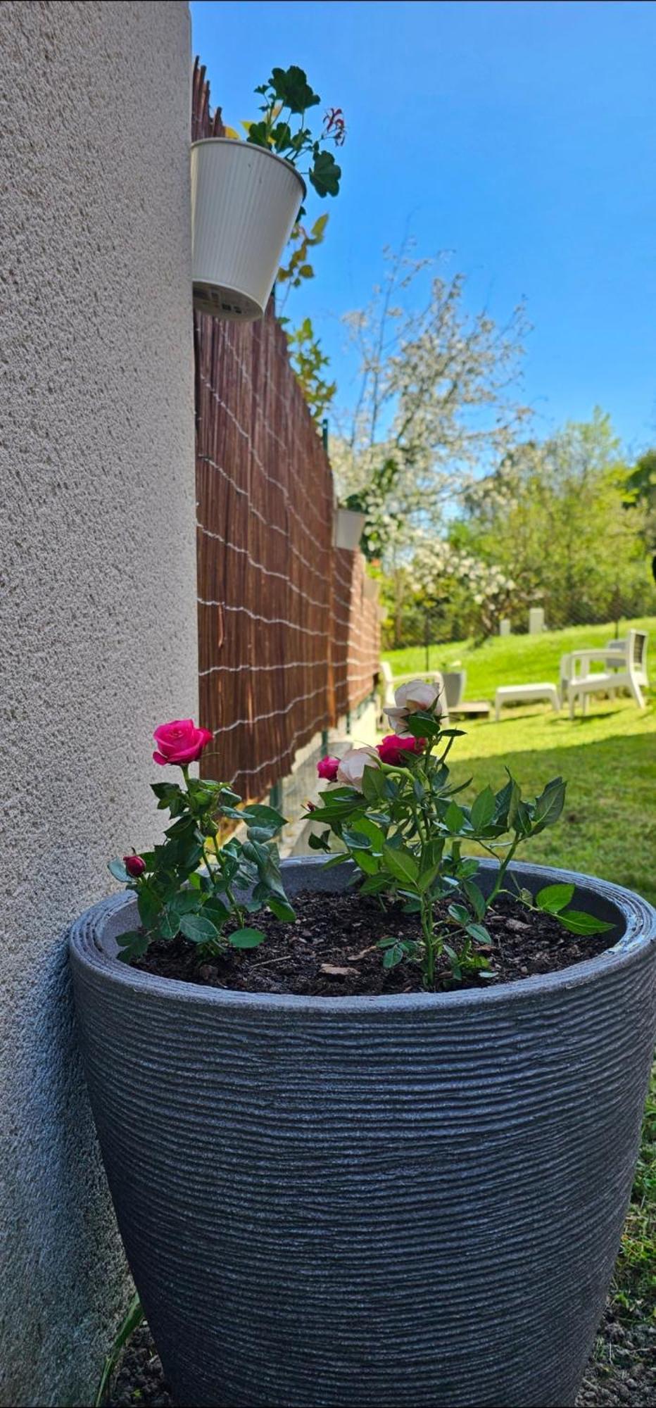 Appartement Lumineux Et Calme En Rez-De-Jardin Castanet-Tolosan Exterior foto